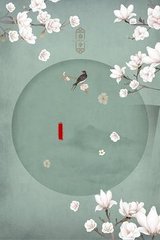 深入了解 红桃影视官网入口
