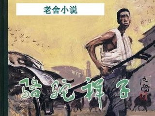 今日看料 每日一抓